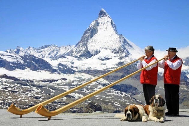 zermatt-with-dogs-2-685x456